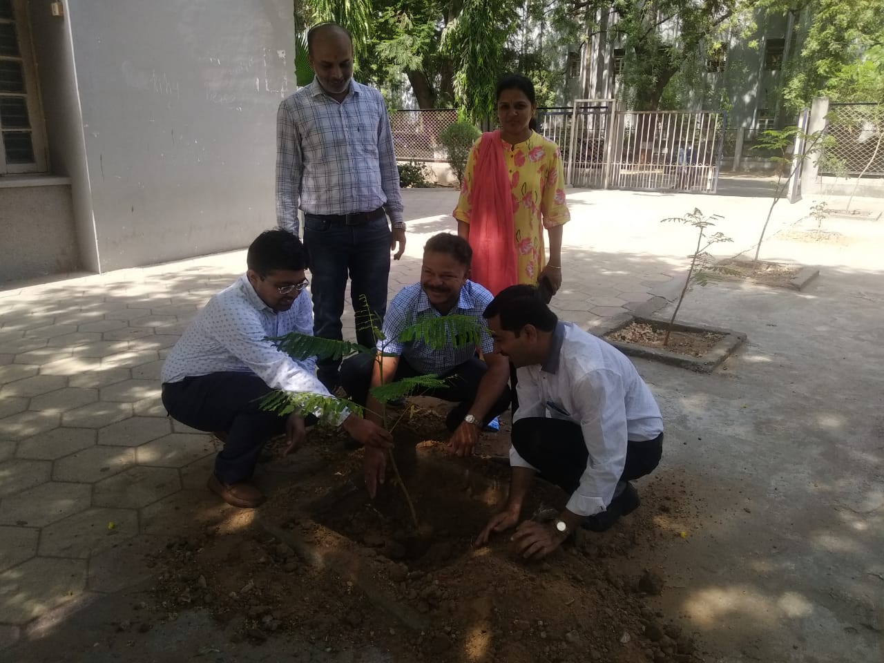 Eco friendly bags distribution and Tree Plantation Programme